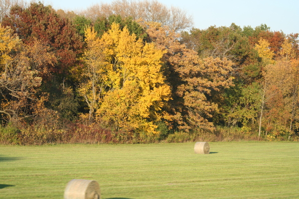 Product picture hay field in the fall